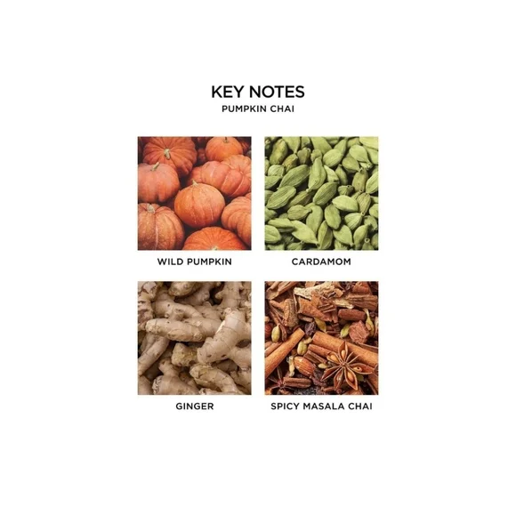 🏵NEST FRAGRANCES PUMPKIN CHAI CANDLE NIB - Picture 4 of 6